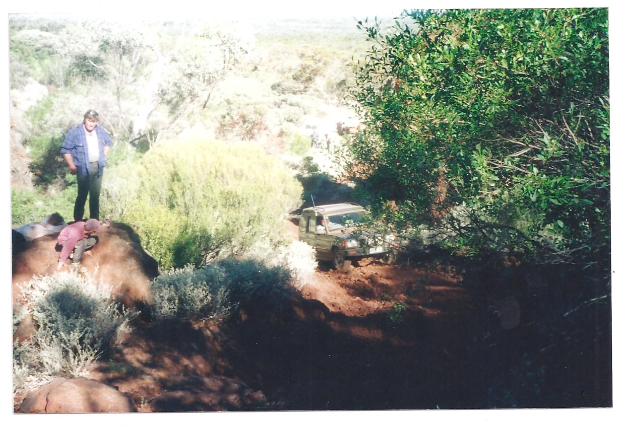 Bungalbin Rally 4.jpg